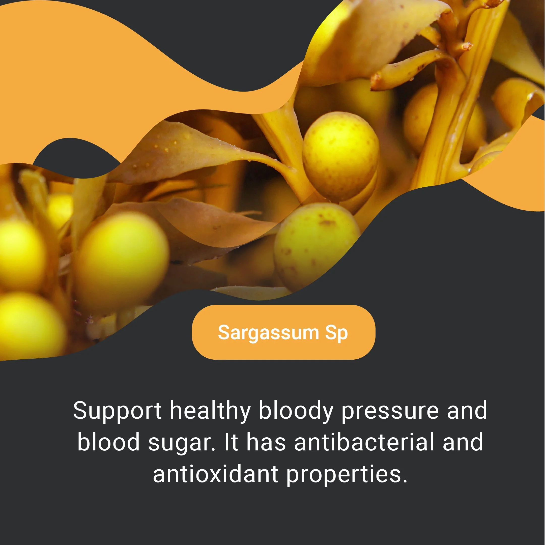 CCK-Social-IG-Post 9@2x-100.jpg