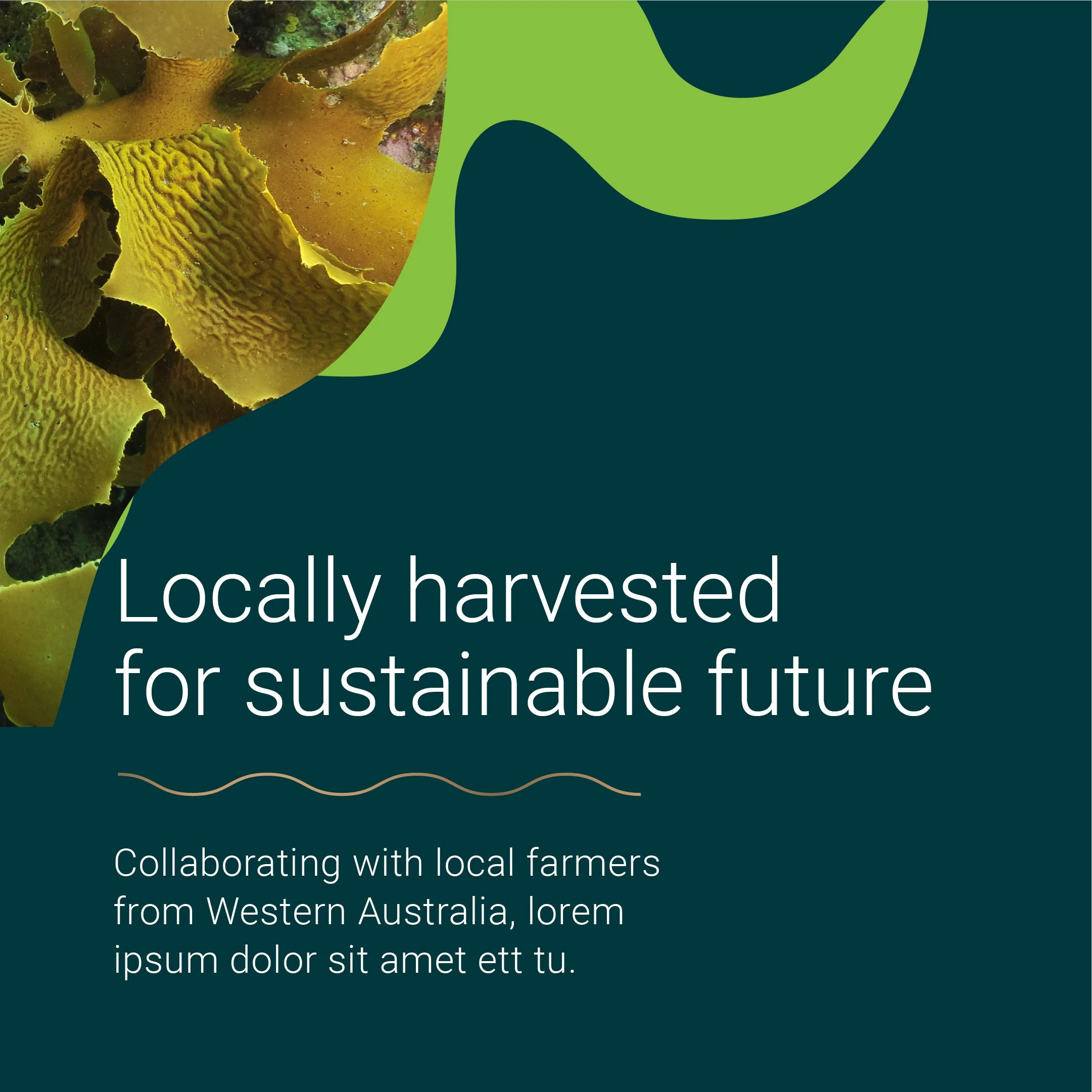 CCK-Social-IG-Post 5@2x-100.jpg