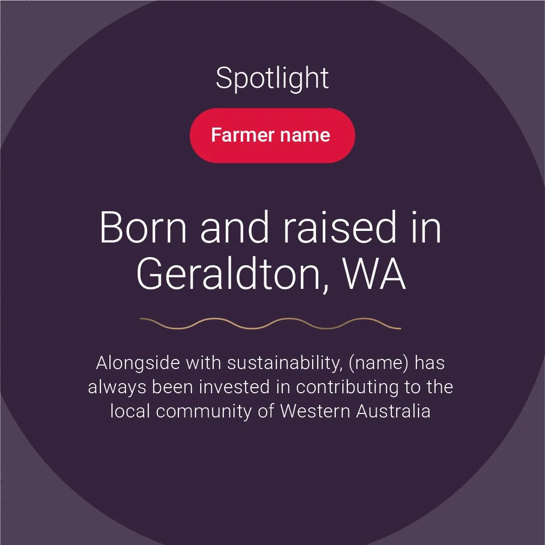 CCK 36 copy 8-100.jpg