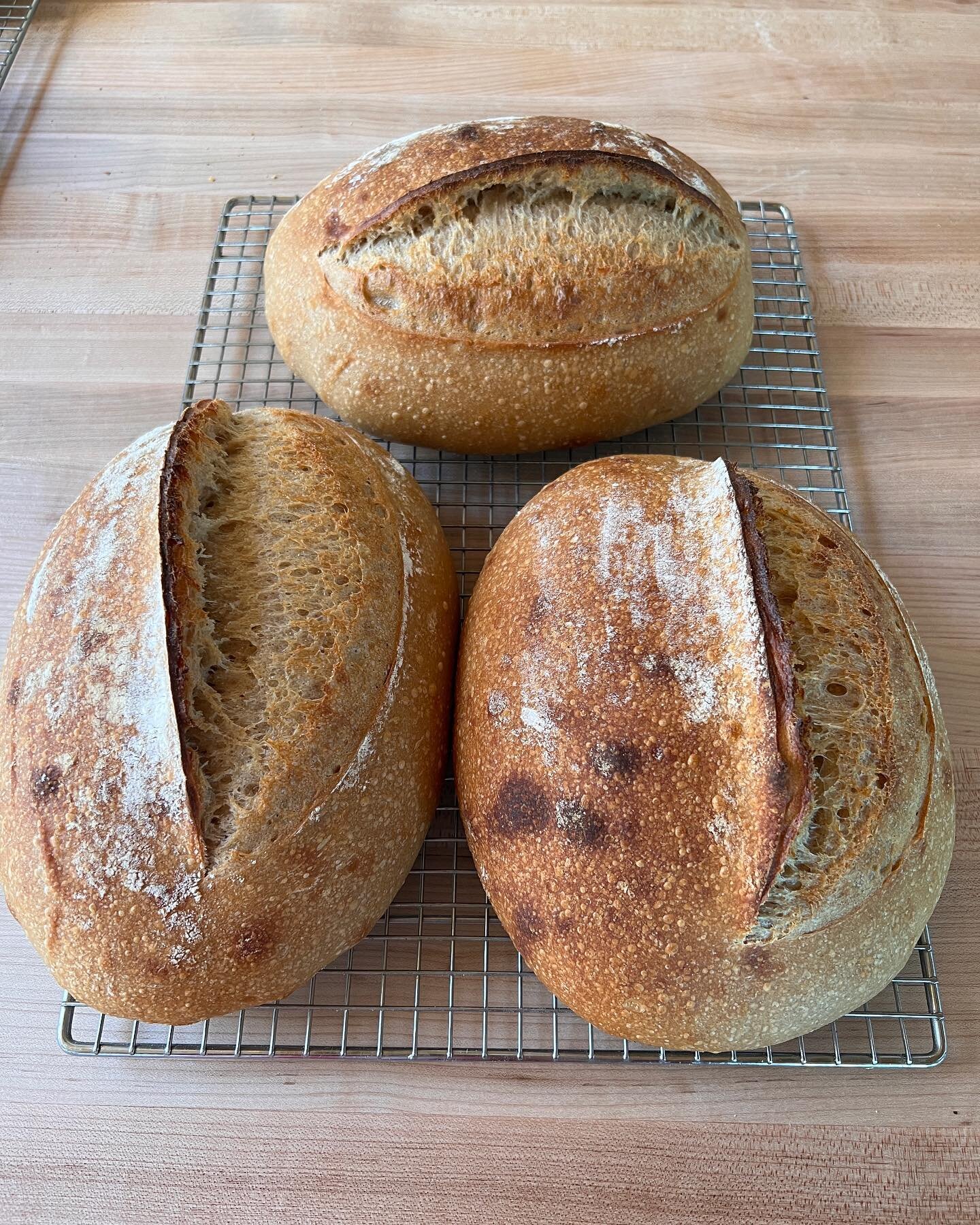 Making food is an art. The practice of growing food and raising and managing animals is also an art. Spending time with @backyardterroir making and learning happily. Sourdough and goats milk ricotta were delicious.
#foodisart #foodisculture #healthyc