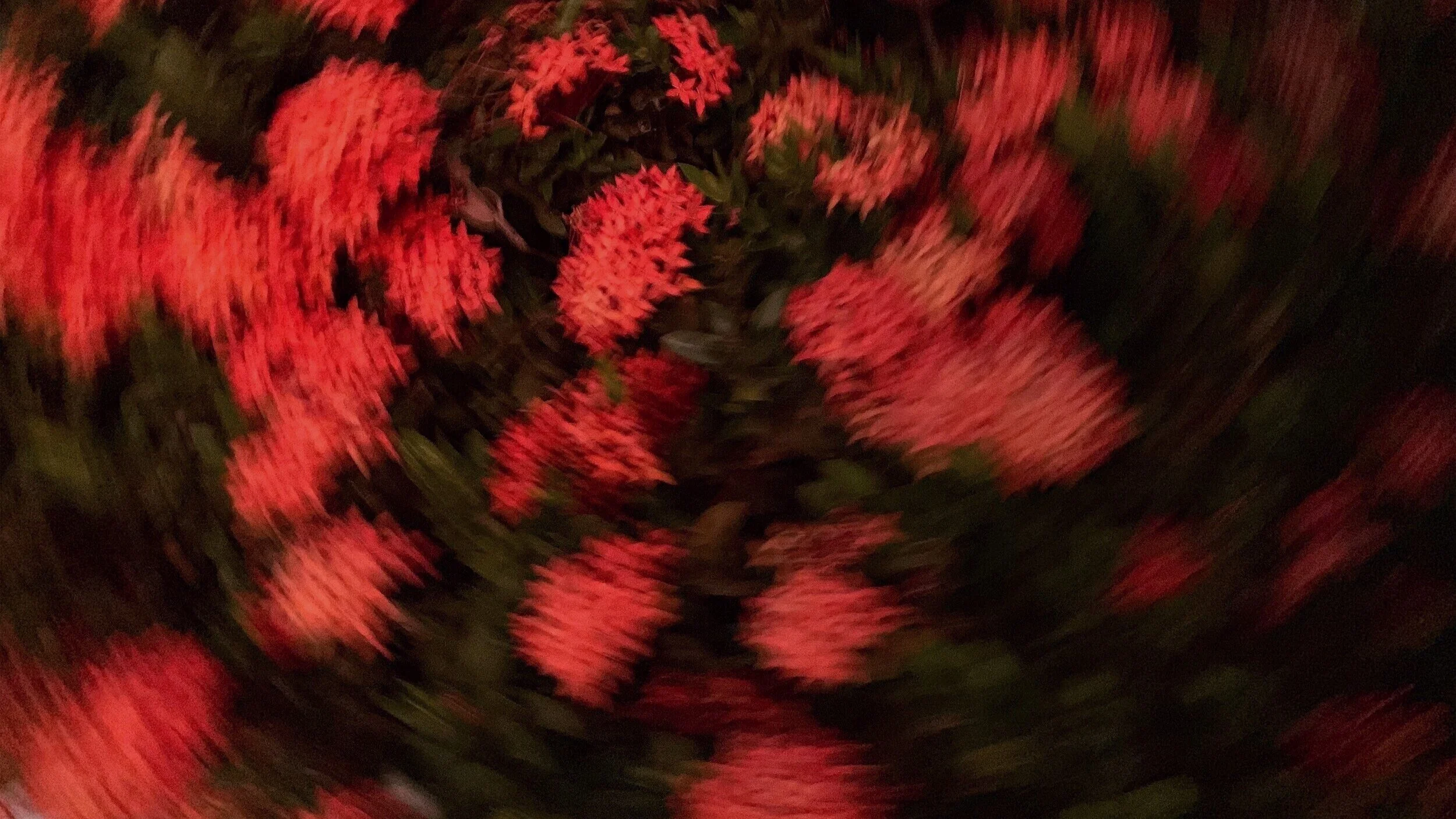 Photo%2B9-9-19%252C%2B7%2B38%2B05%2Bpm.jpg