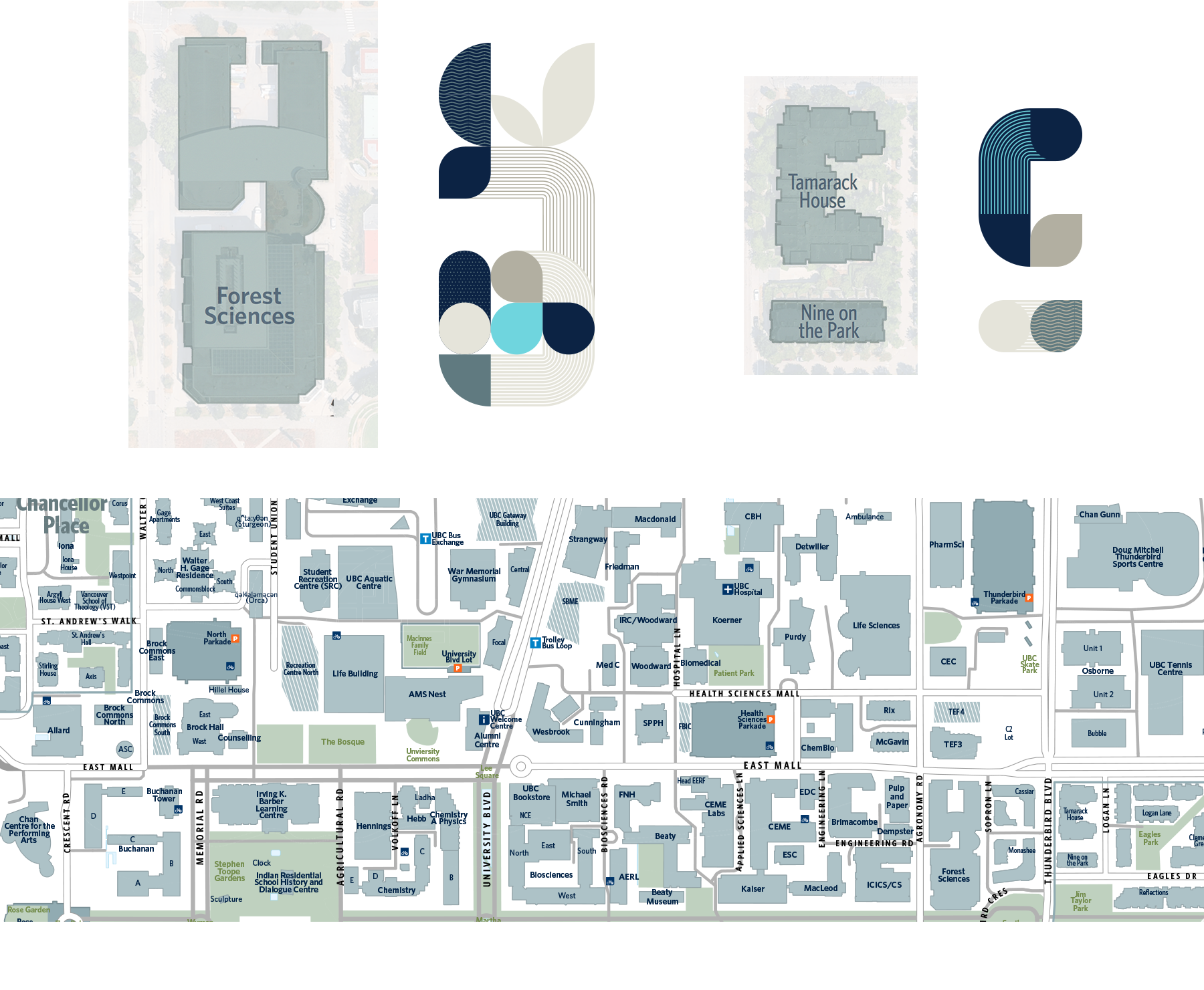 C+CP-CoverBGs2 copy.png