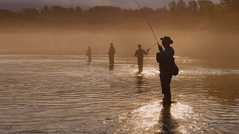 BC Freshwater Fisheries