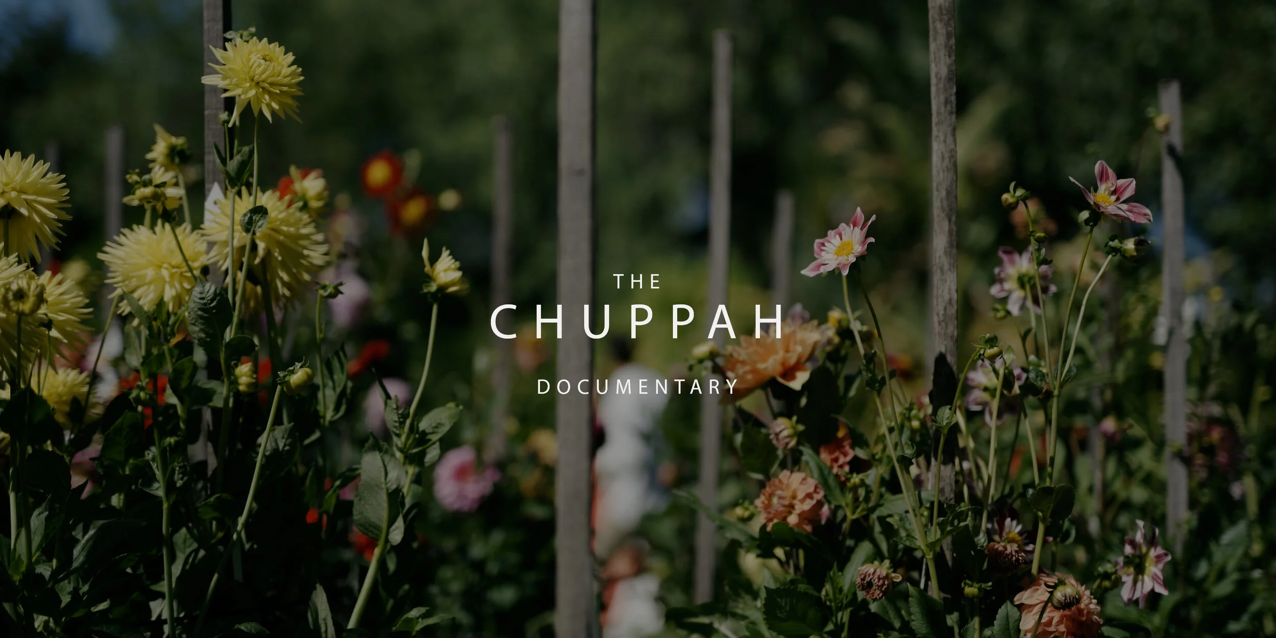 Lauren and Yair - Chuppah