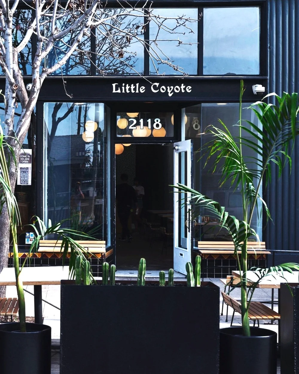 General 2 — Little Coyote