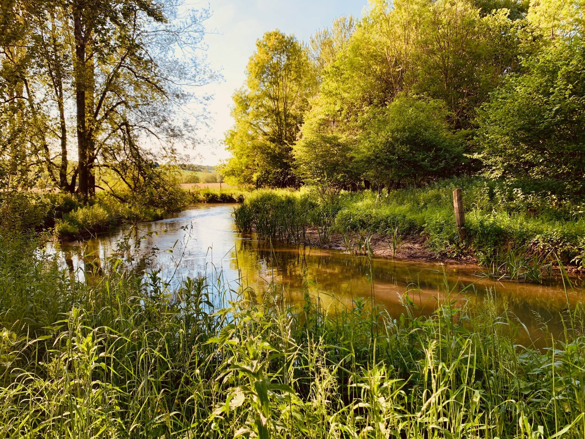 Oxfordshire walks - Great Rissington