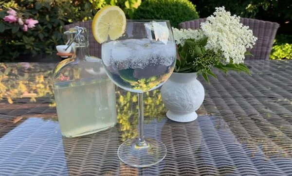 Oxfordshire walks - Elderflower