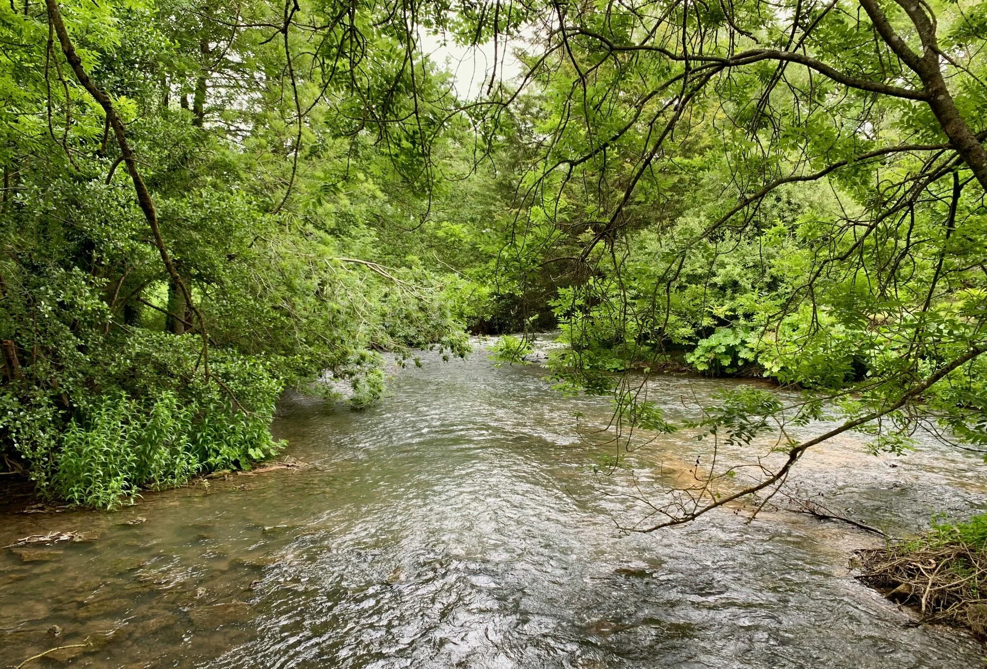 Oxfordshire walks - Swinbrook &amp; Asthall
