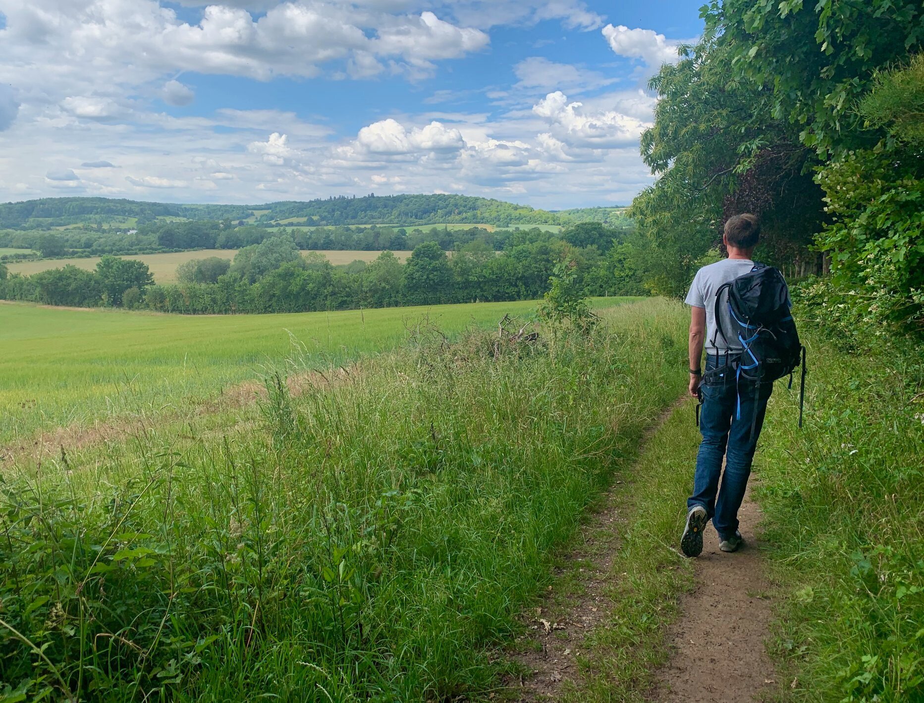 oxfordshire walks henley on thames 5.jpg