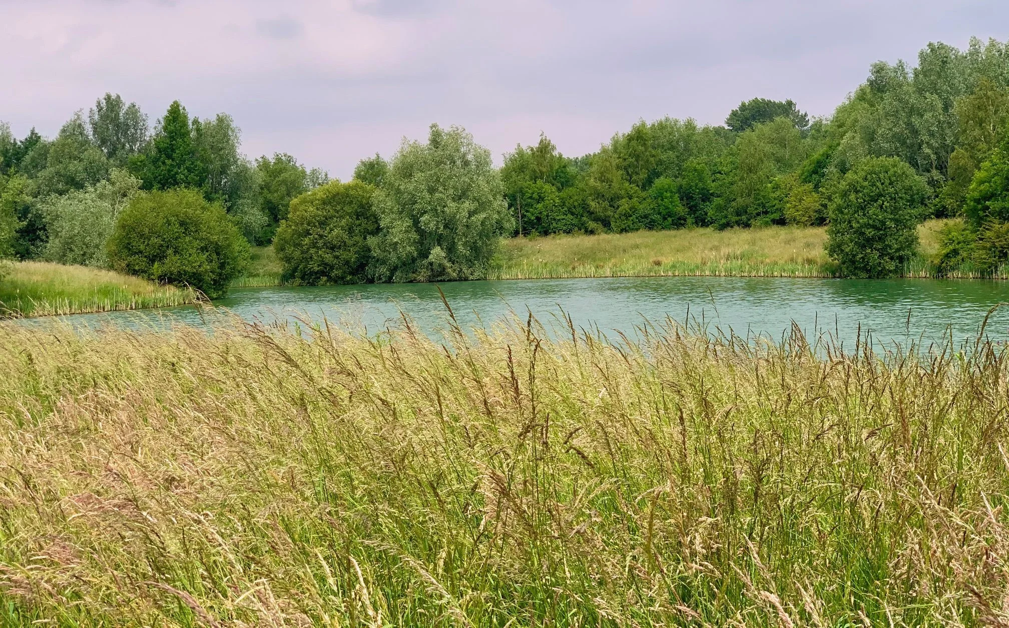 Oxfordshire walks - Rushy Common