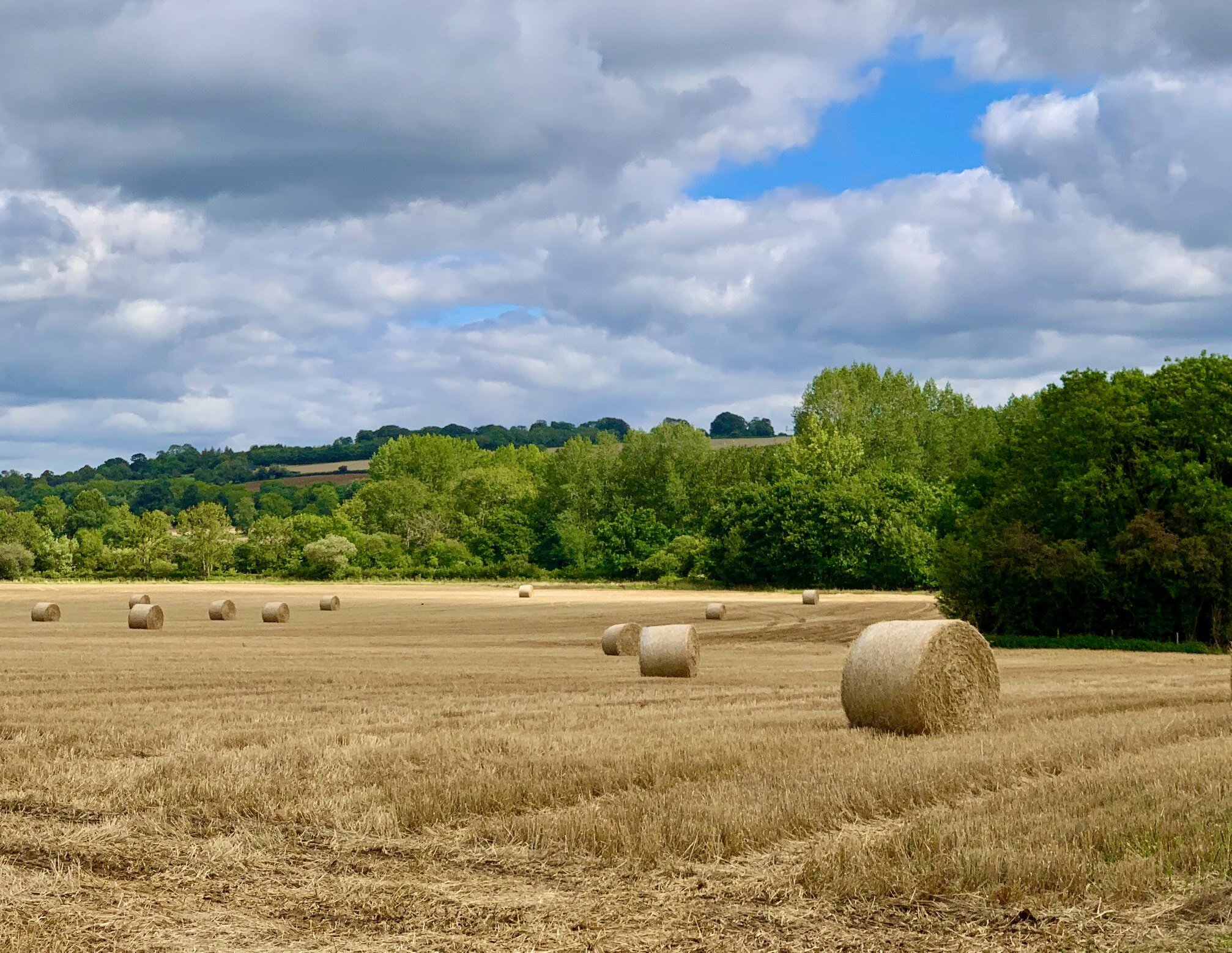 oxfordshire walks chipping norton 7.jpg