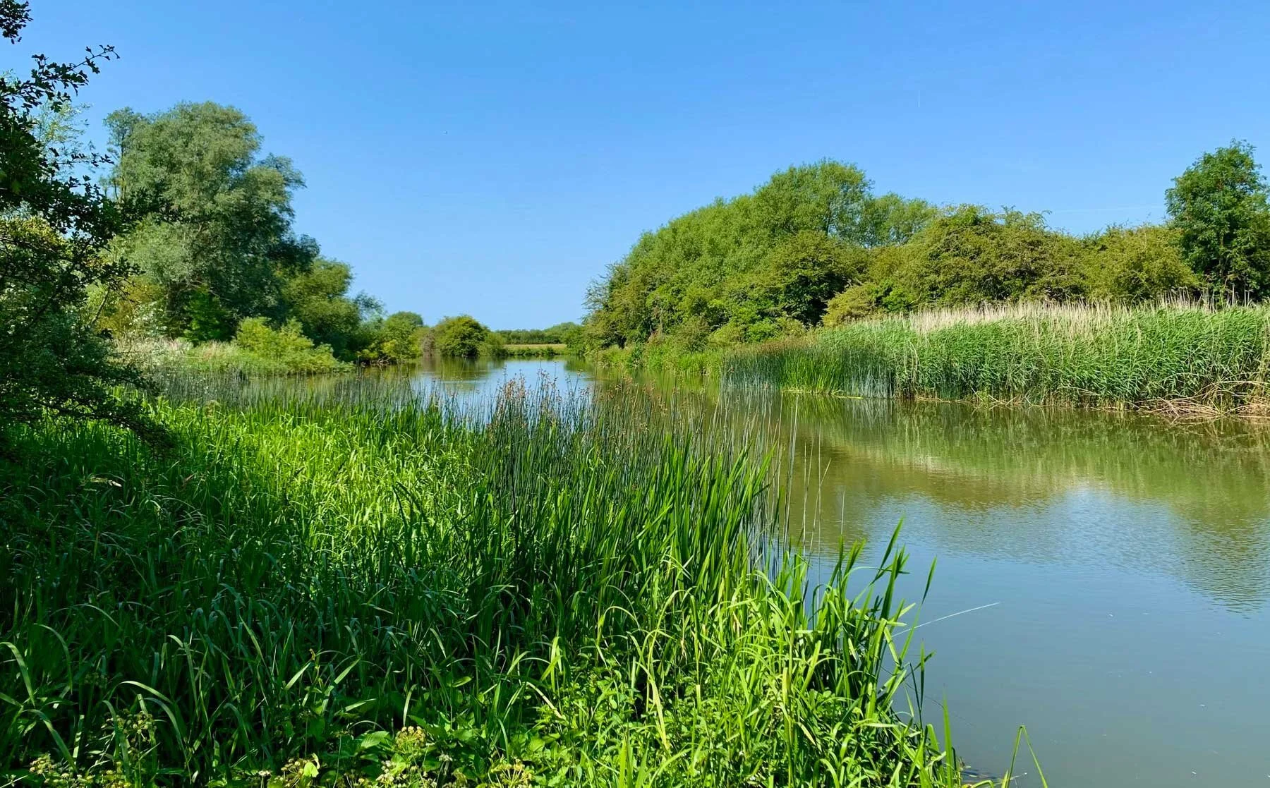 walks-near-oxford-farmoor.jpg
