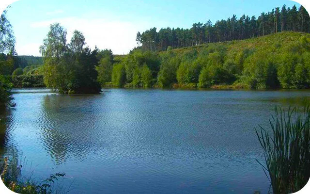 Fairoak Pools Cannock Chase Walk and Map