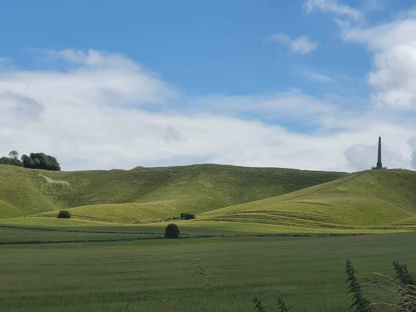 Top 20 Wiltshire Walks
