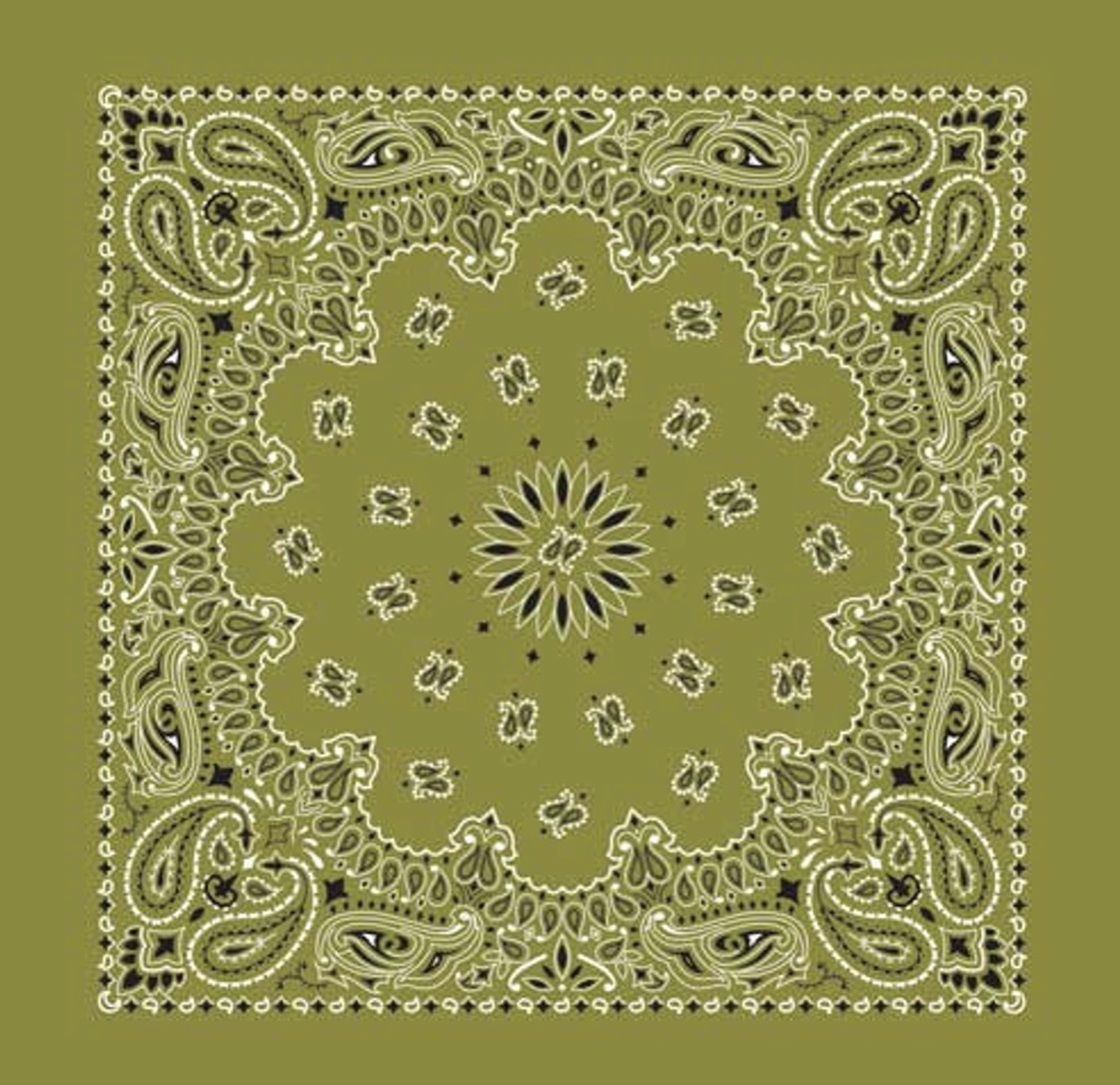 LIGHT OLIVE.png
