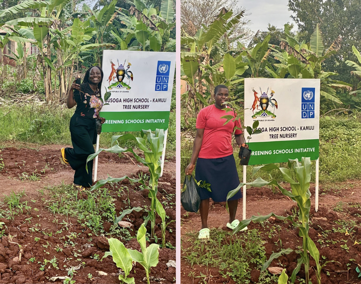 Scholarship Program: Students are learning beyond the Classroom through UNDP’s Greening Schools Initiative.