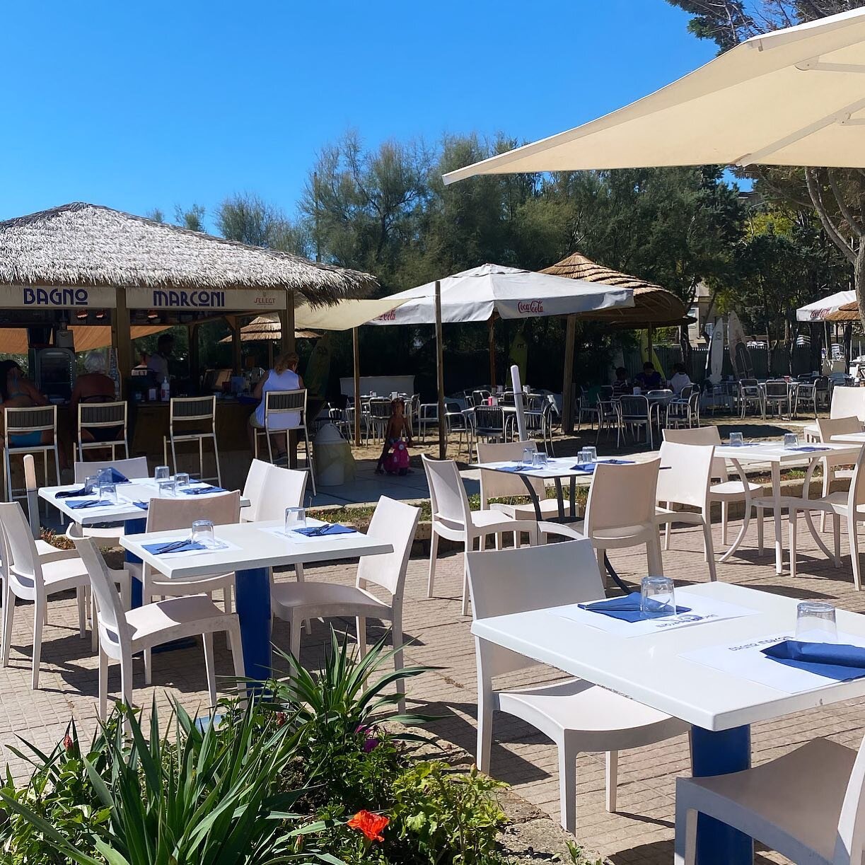 𝟷 𝚂𝚎𝚝𝚝𝚎𝚖𝚋𝚛𝚎 💙 
#lunchtime 
BAGNO MARCONI 
#mostradelcinemadivenezia #venezia78 #ristorante #beachview