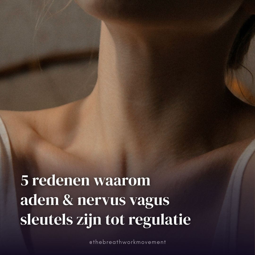 Herstel ontstaat niet vanzelf. Het vraagt om regulatie in je lichaam.⁠
⁠
Ik wilde heel graag een webinar organiseren dat hierop inzoomt, specifiek op de rol van ademhaling en de nervus vagus bij regulatie, stress en herstel. Want, hoe zit dit nu &eac