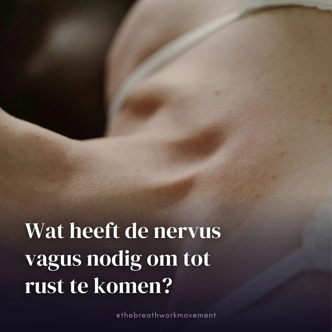 Je kunt ontspanning niet afdwingen. Al heb ik het jarenlang toch geprobeerd. Inmiddels weet ik: je lichaam laat het toe, &oacute;f niet. En daar kun je w&eacute;l iets aan doen.⁠
⁠
Het heeft weinig te maken met wilskracht, en alles met veiligheid. En