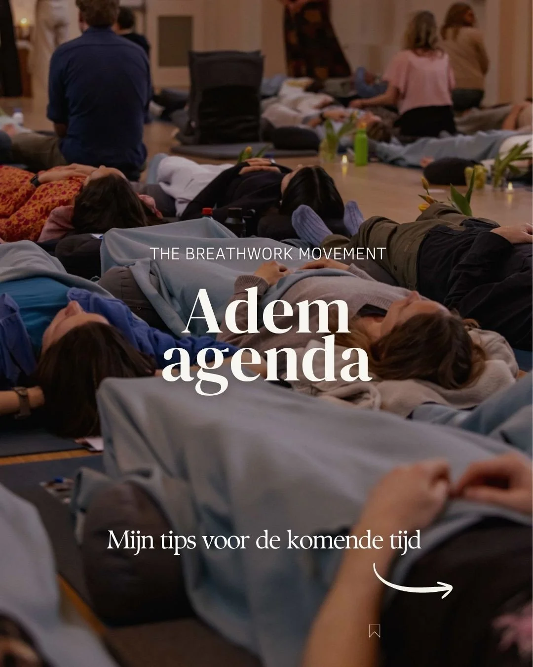 Zit hier iets voor je tussen? ⁠
Zo niet, in de agenda op The Breathwork Movement vind je nog veel meer mooie events. ⁠
⁠
Ademcirkels, retreats, workshops, masterclasses, opleidingen en meer. Voor elk wat wils.⁠
⁠
Wil je de directe link ontvangen?⁠
Re