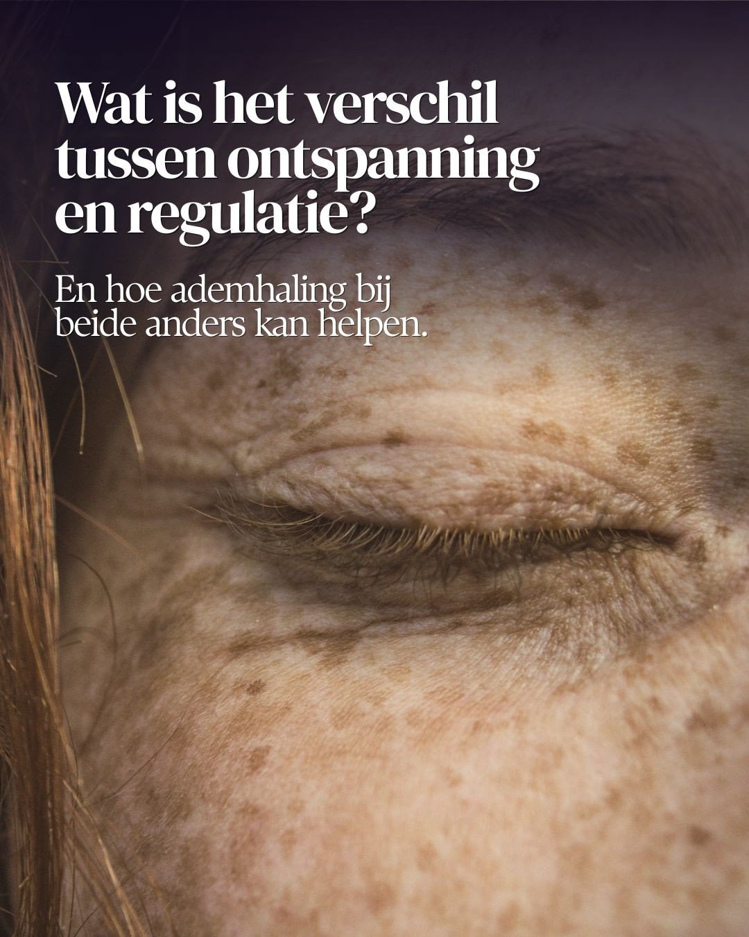Ontspanning en regulatie. Twee woorden die vaak door elkaar worden gehaald &ndash; ook in ademwerk. Maar ze betekenen iets totaal anders.⁠
⁠
Ontspanning is een toestand.⁠ Regulatie is een vermogen.⁠ En je adem helpt bij allebei. Maar niet op dezelfde