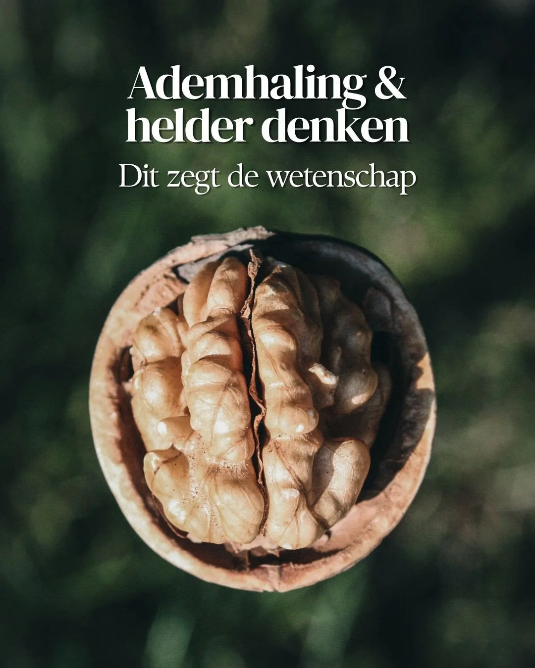 Je ademhaling en je brein zijn nauwer verbonden dan lang werd gedacht. Onderzoek laat zien dat je ademritme direct samenhangt met je aandacht, geheugen en denkvermogen, en dat de manier waarop je ademt bepaalt of je brein tot helder denken komt of ni
