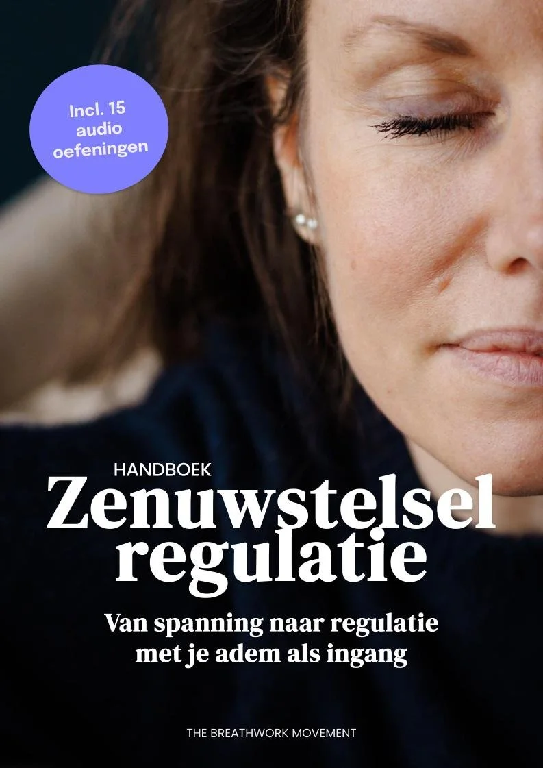 Handboek Zenuwstelselregulatie - Nikki van der Velden
