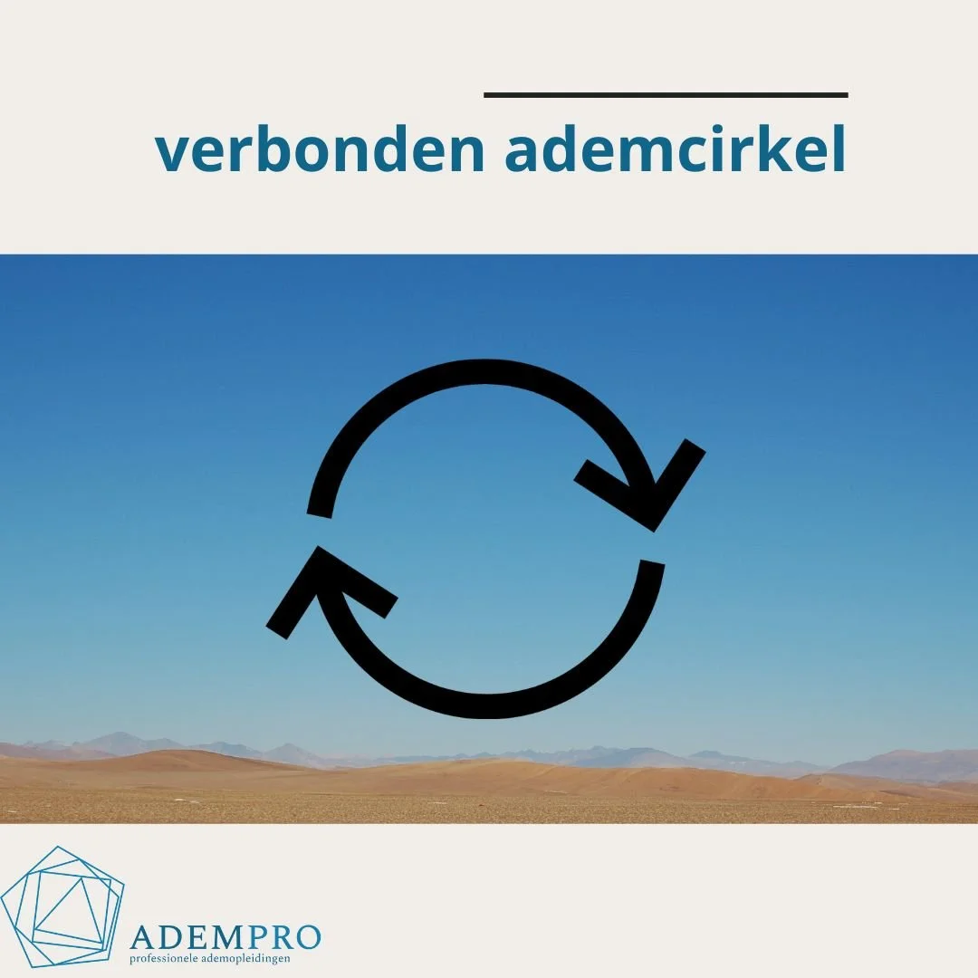 Adempro verbonden ademcirkel, 6 november in Bussum