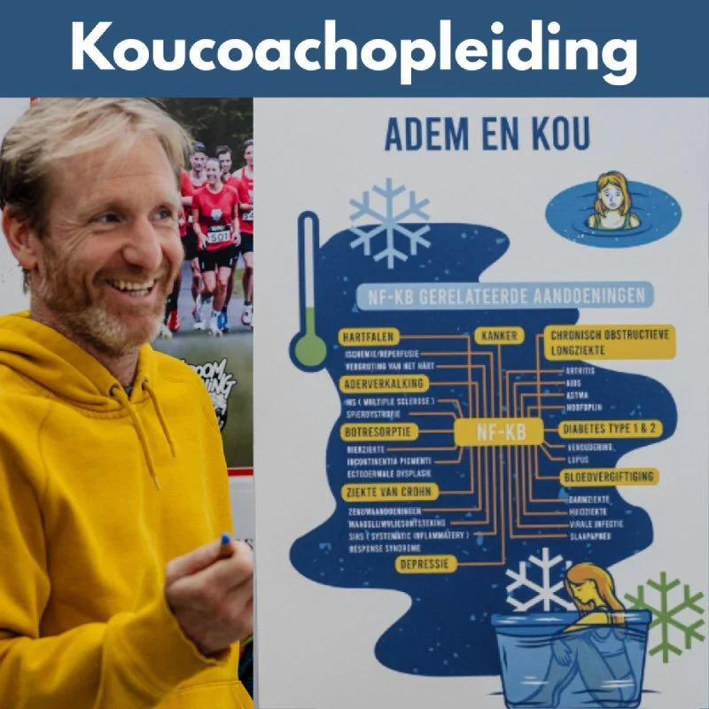 Start koucoachopleiding, vanaf 11 september in Amsterdam