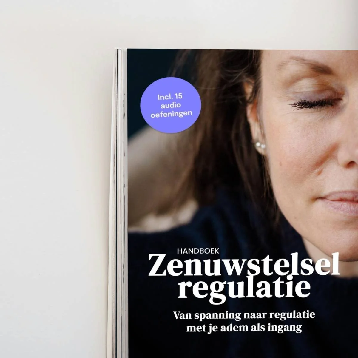 Handboek Zenuwstelselregulatie - Nikki van der Velden