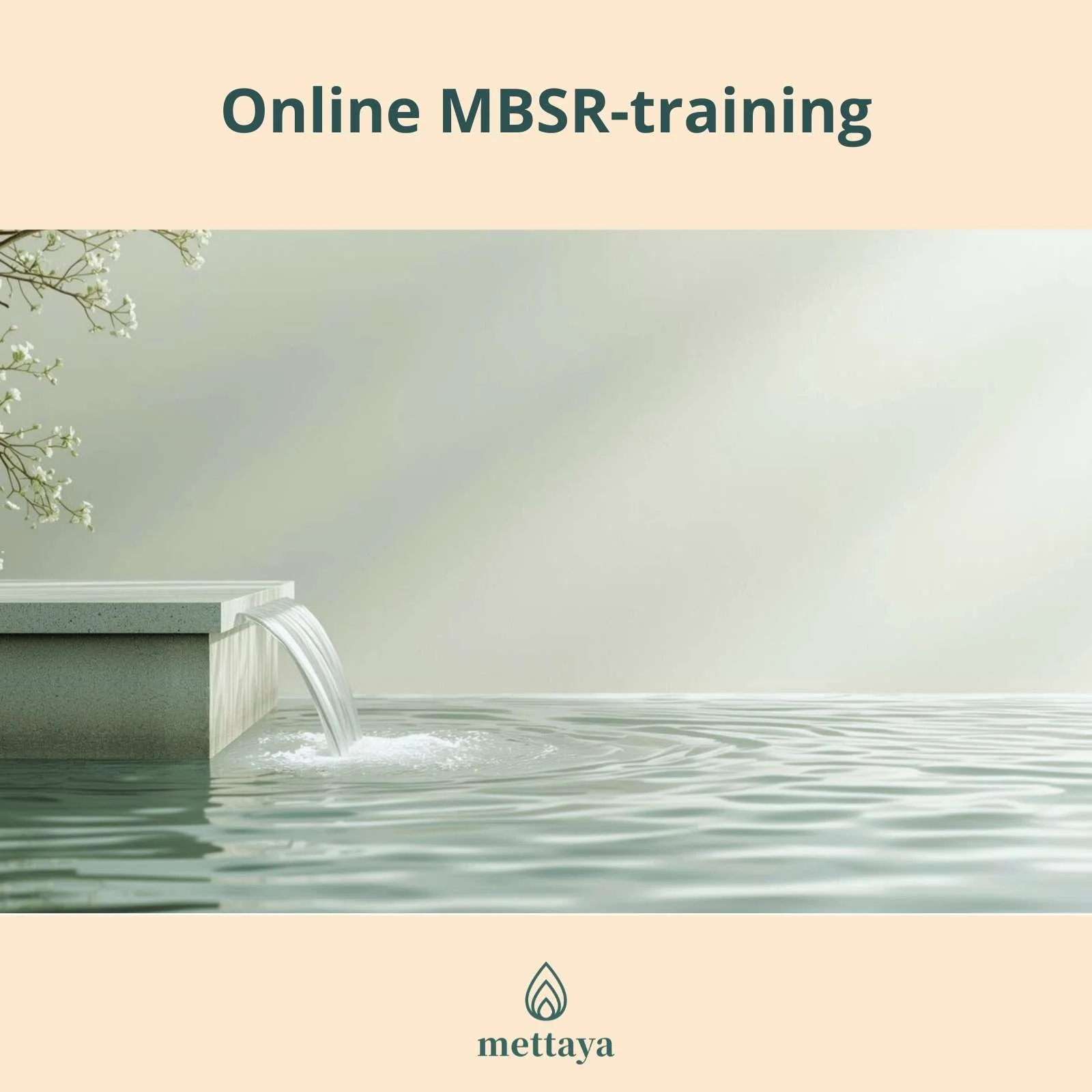 Online 8-weekse MBSR Mindfulness Training, vanaf 5 oktober