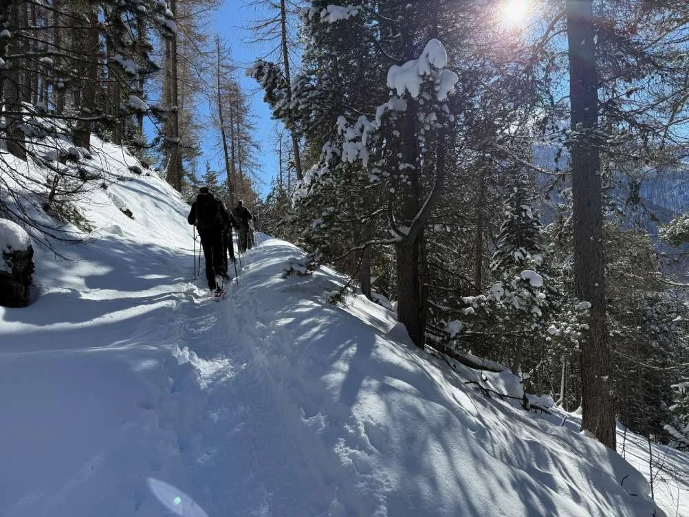 WinterTraject 2027 – Lichaamsgerichte wandelretraite in de Franse Alpen – 23 tot 30 januari 2027