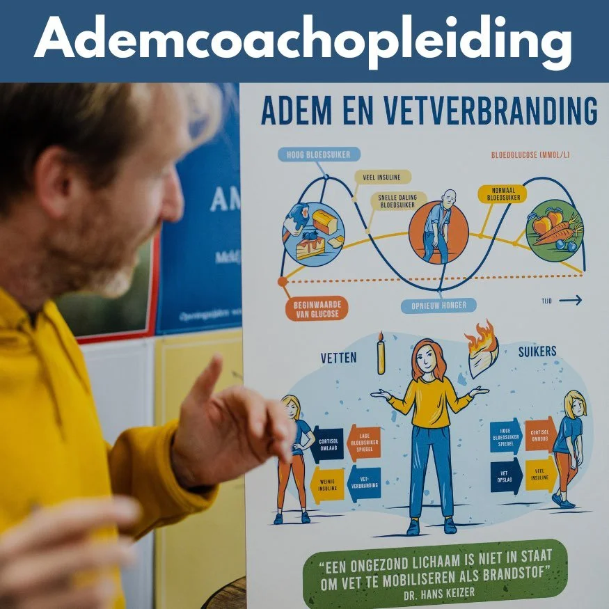 Start ademcoachopleiding: vanaf 21 november in Amsterdam