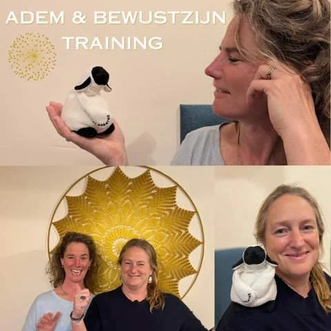 De Adem en Bewustzijn Academie: Module 1 &amp; 2, de basistraining voor jezelf, vanaf 24 april in Drempt, Gelderland