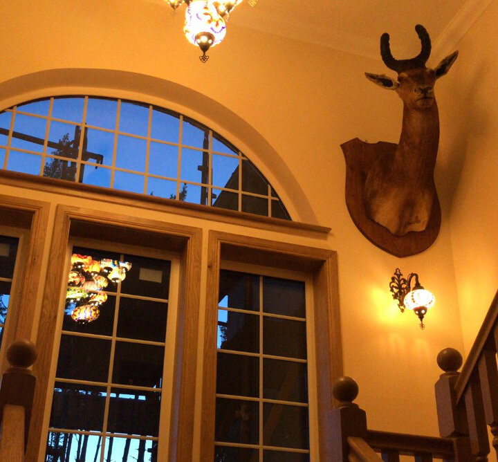 Stag statue on wall, interior design