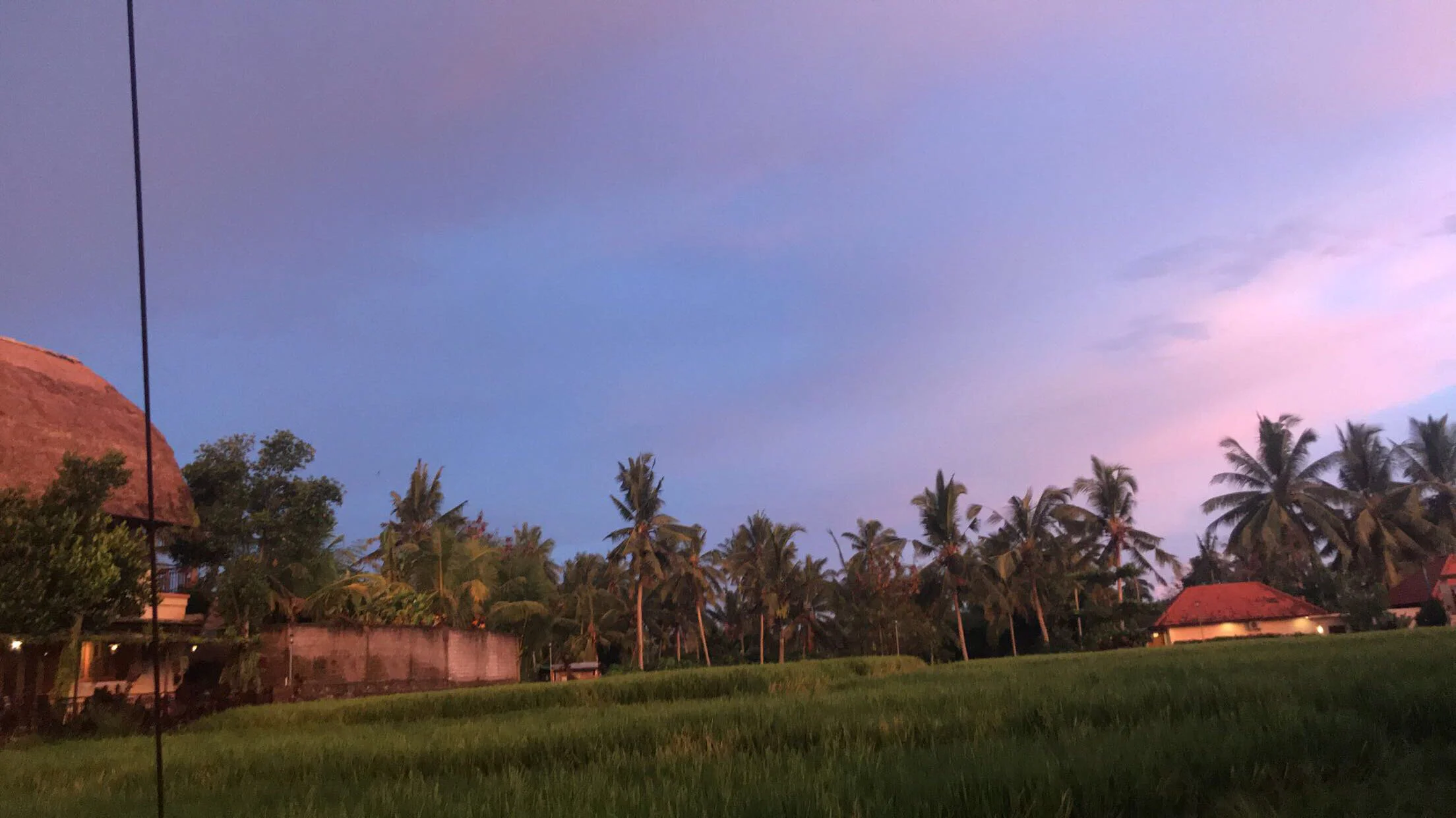 83D37D86-B413-431D-AB93-E172DA4C85F5.jpeg