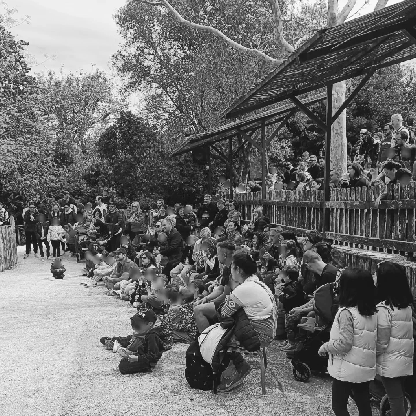 QUANDO IL LAVORO DIVENTA FAMIGLIA ❤️

Quando una collaborazione non &egrave; solo business, ma in primis &egrave; rispetto, voglia di fare cultura e amore per il proprio lavoro, nascono delle sinergie meravigliose e durature.

Grazie @parcozoofalcona