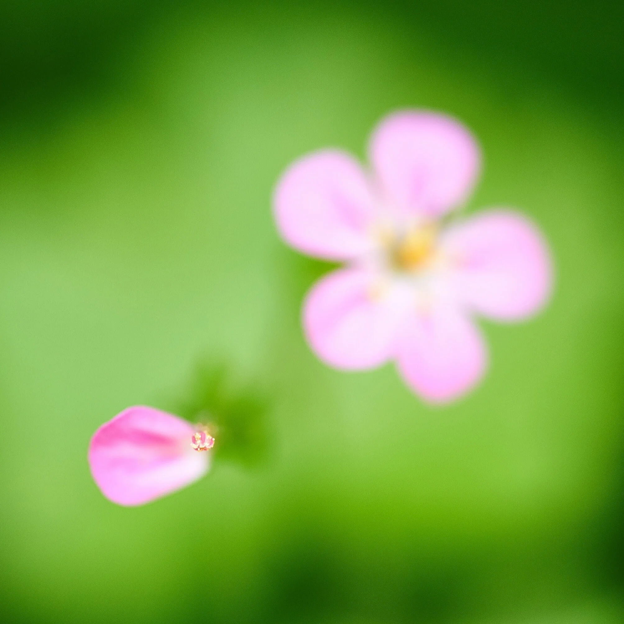 DSC_9338.jpg