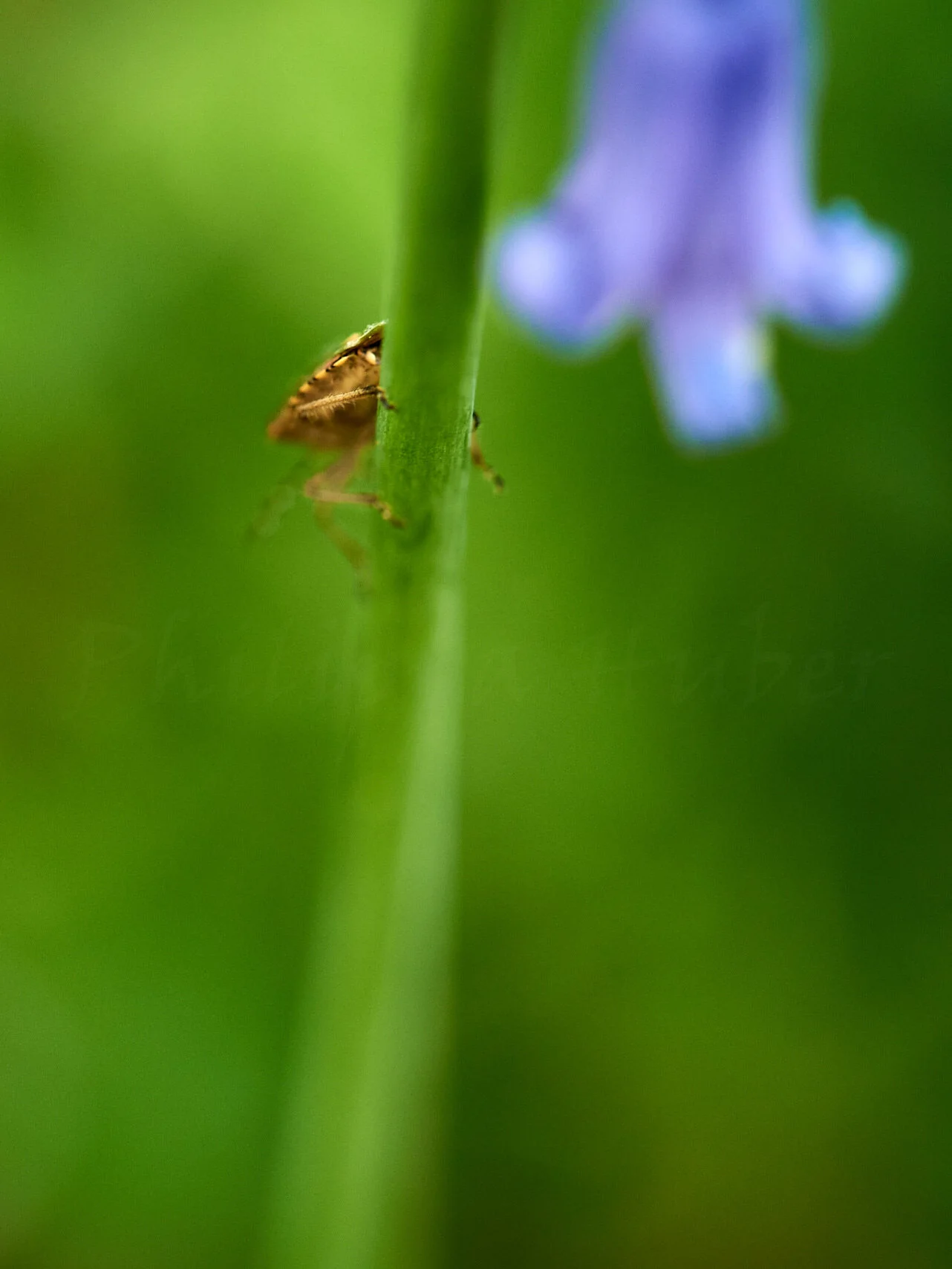 DSC_8348.jpg