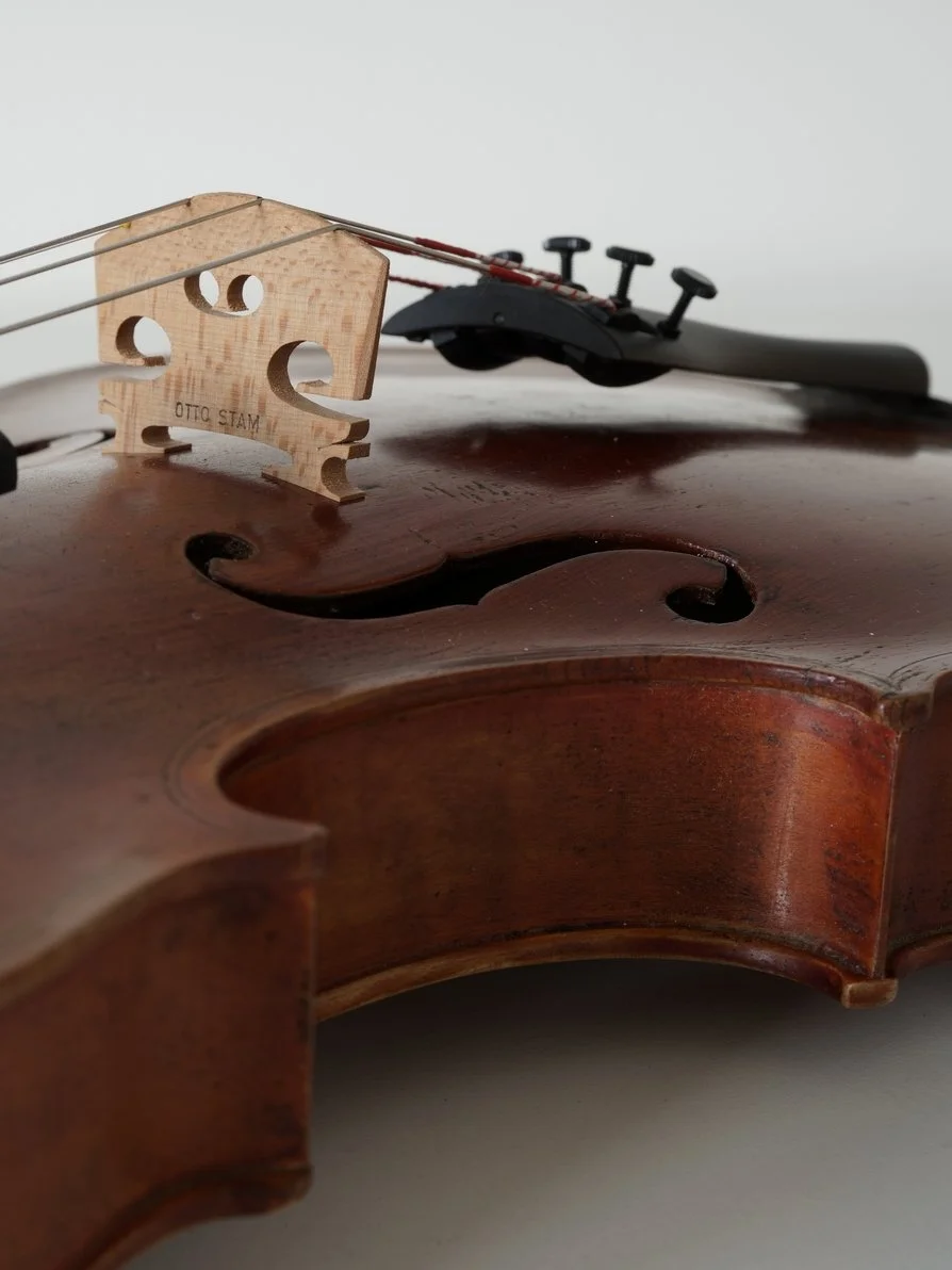 Oude Boheemse viool_11.JPG