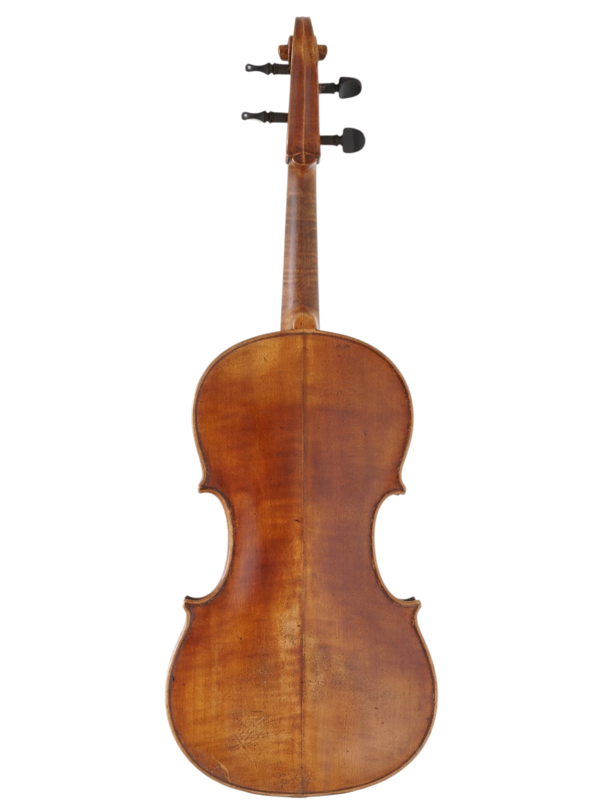 Boheemse altviool_2.jpg