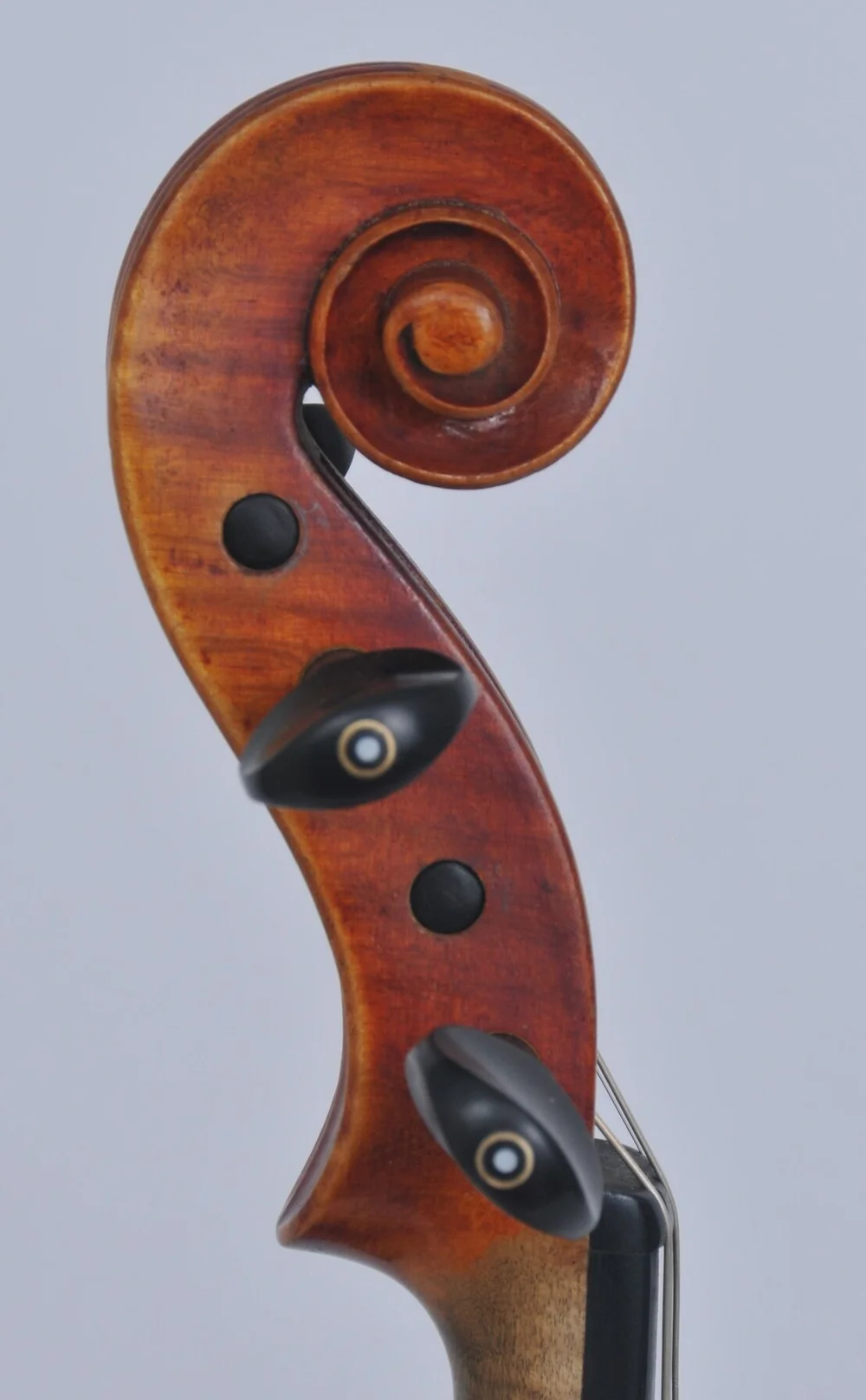 ビオラ C. A. Wunderlich Siebenbrunn 1910年頃 - 弦楽器
