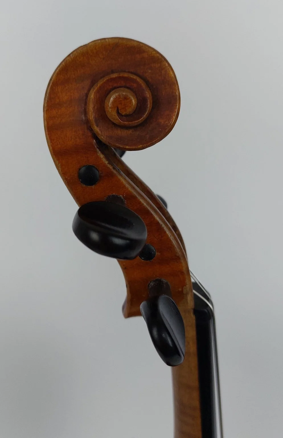 法国 1/2 小提琴 Le Parisien