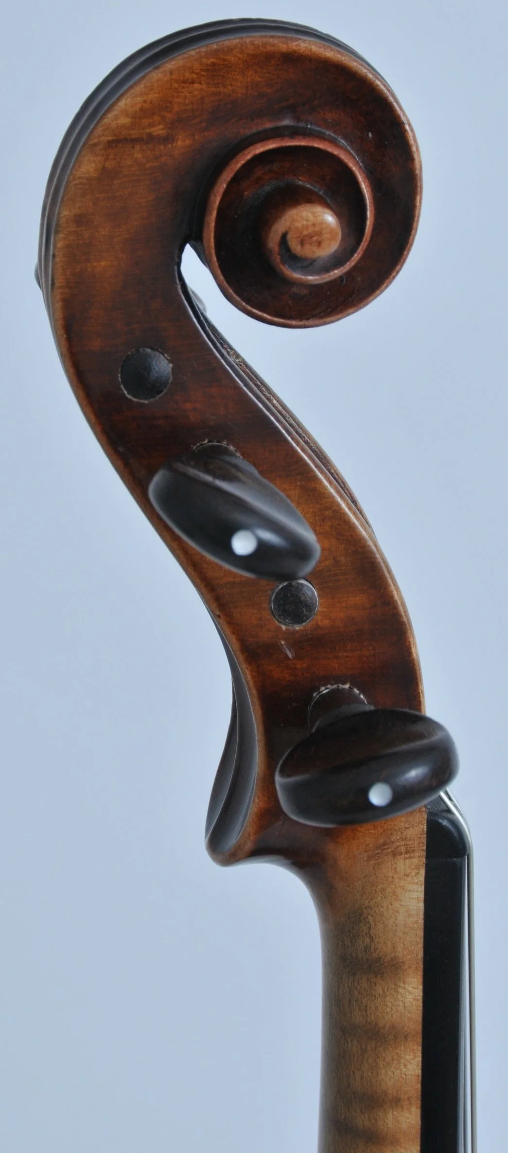 Voormalige studieviool van professionele musicus