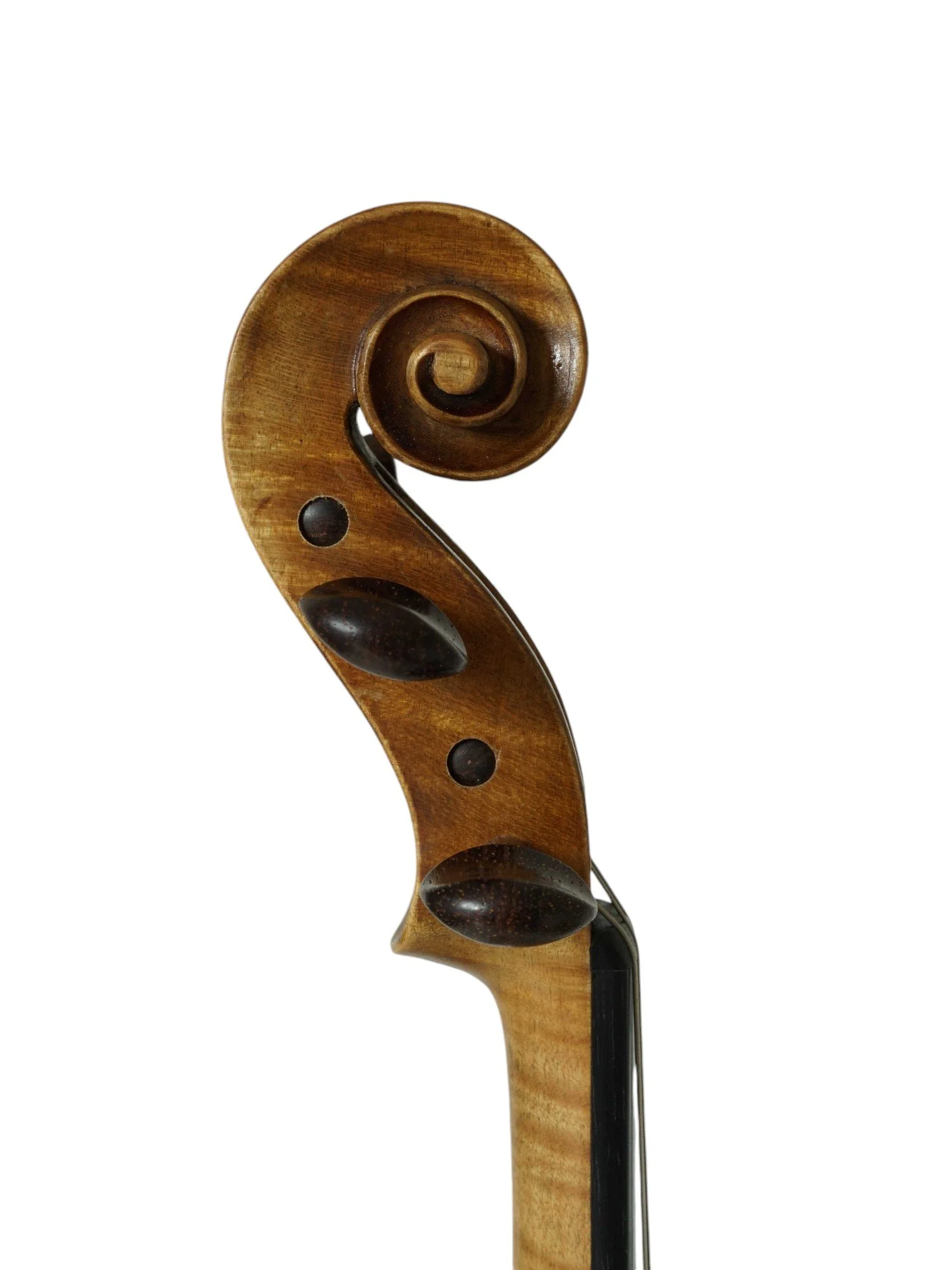 violin Otto de Kleijn, Terneuzen  1926