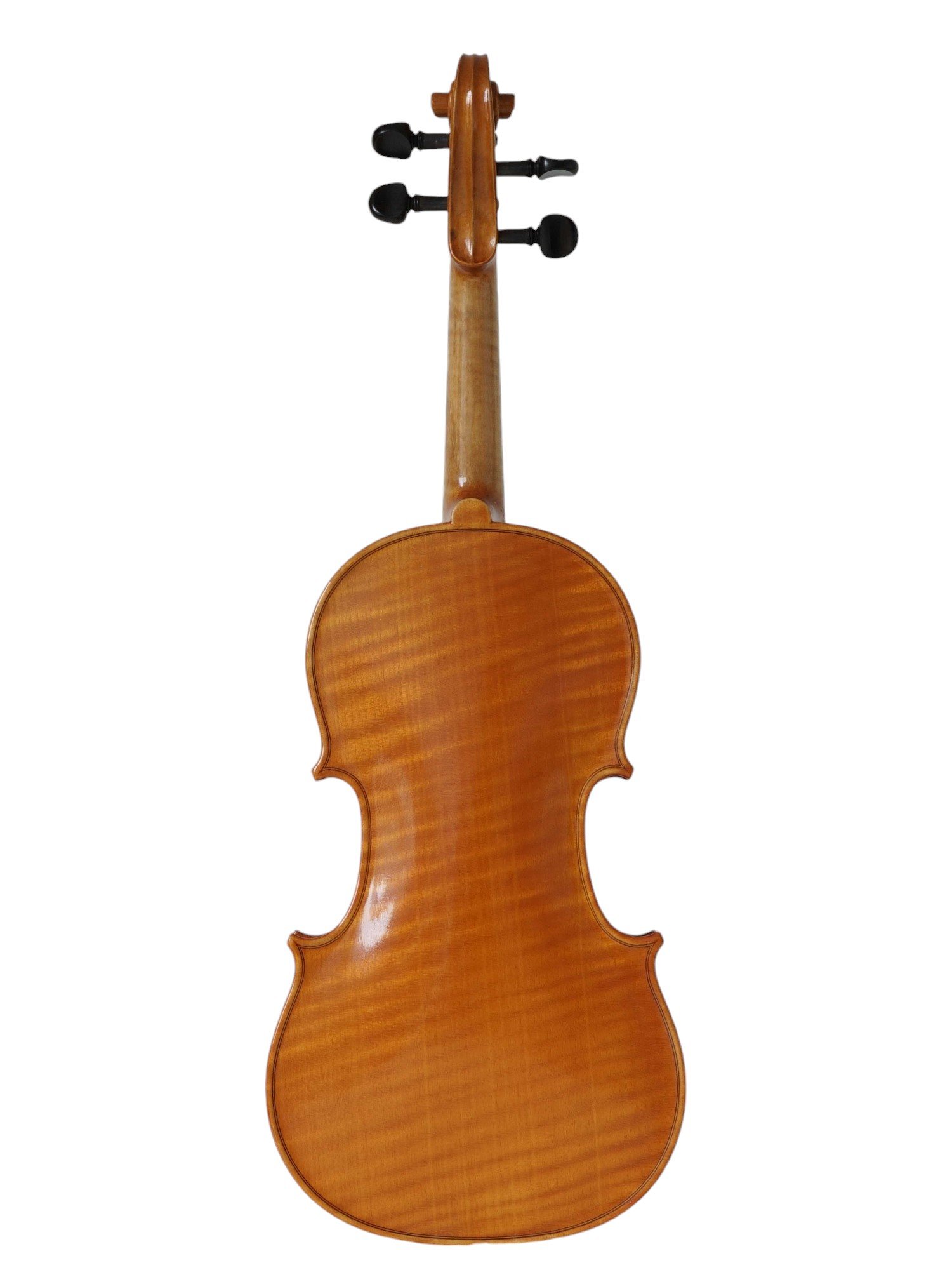 viool Cor Graauw, 2011