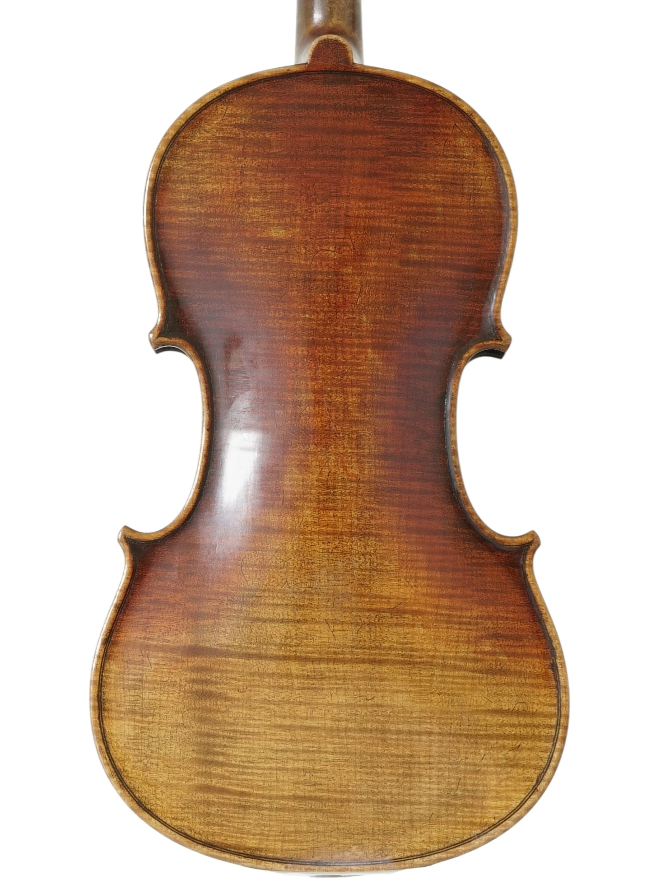 Saksische viool begin 1900.jpg