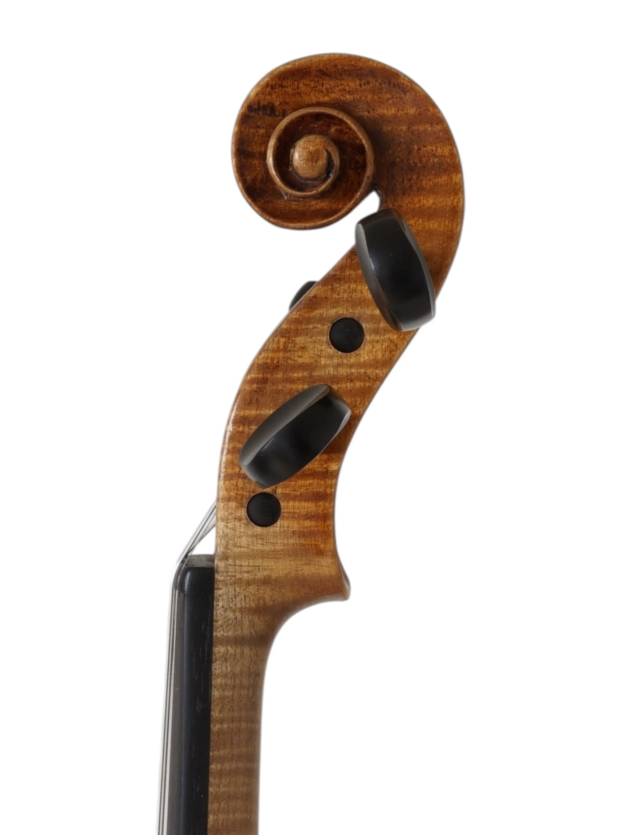 Saxon violin ca. 1920