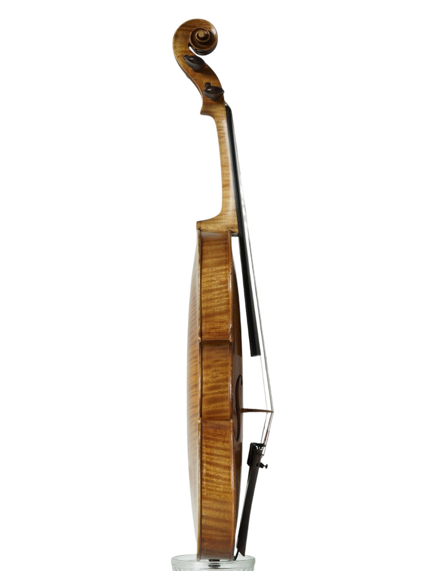 violin Otto de Kleijn, Terneuzen  1926