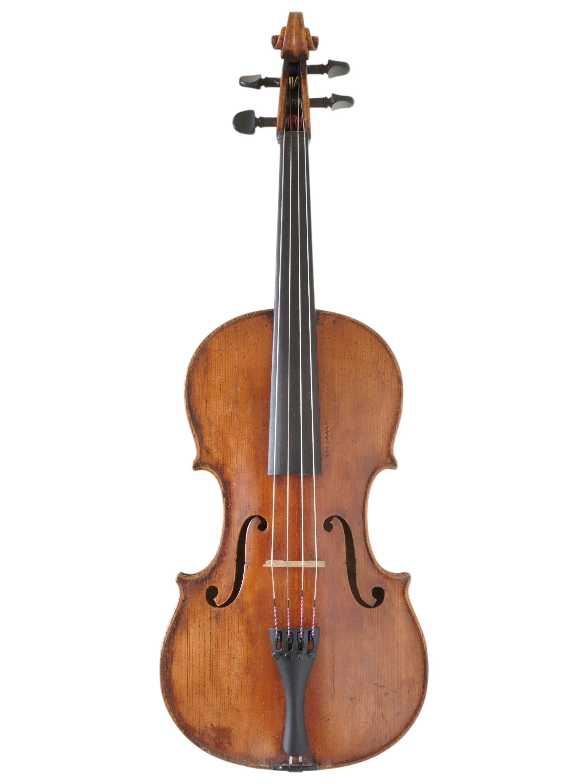 Boheemse altviool_6.jpg